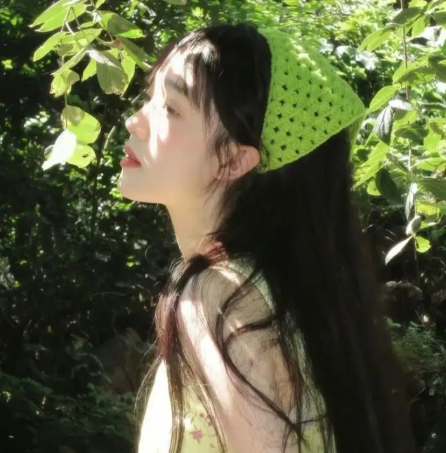 功夫特务
